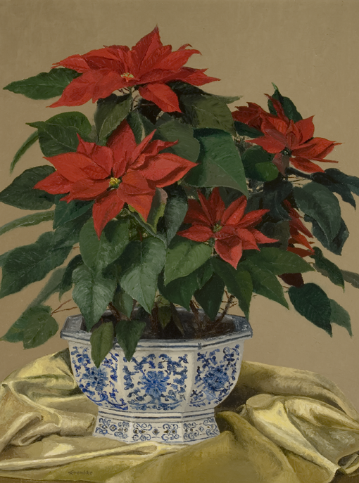 Poinsettia in Chinese Blue and White Container