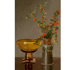 Pyracantha with Art Glass Bowl